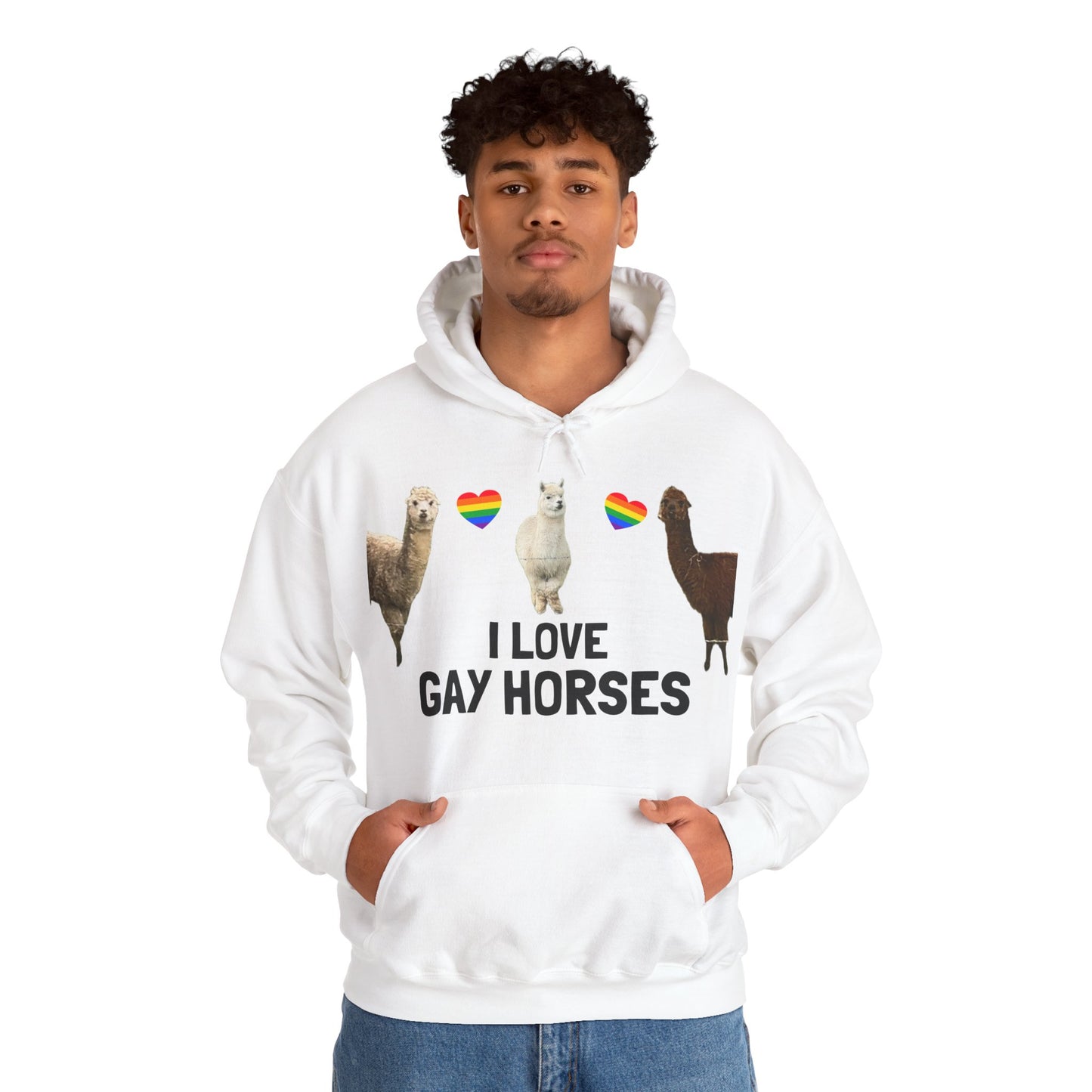 I Love Gay Horses Hoodie