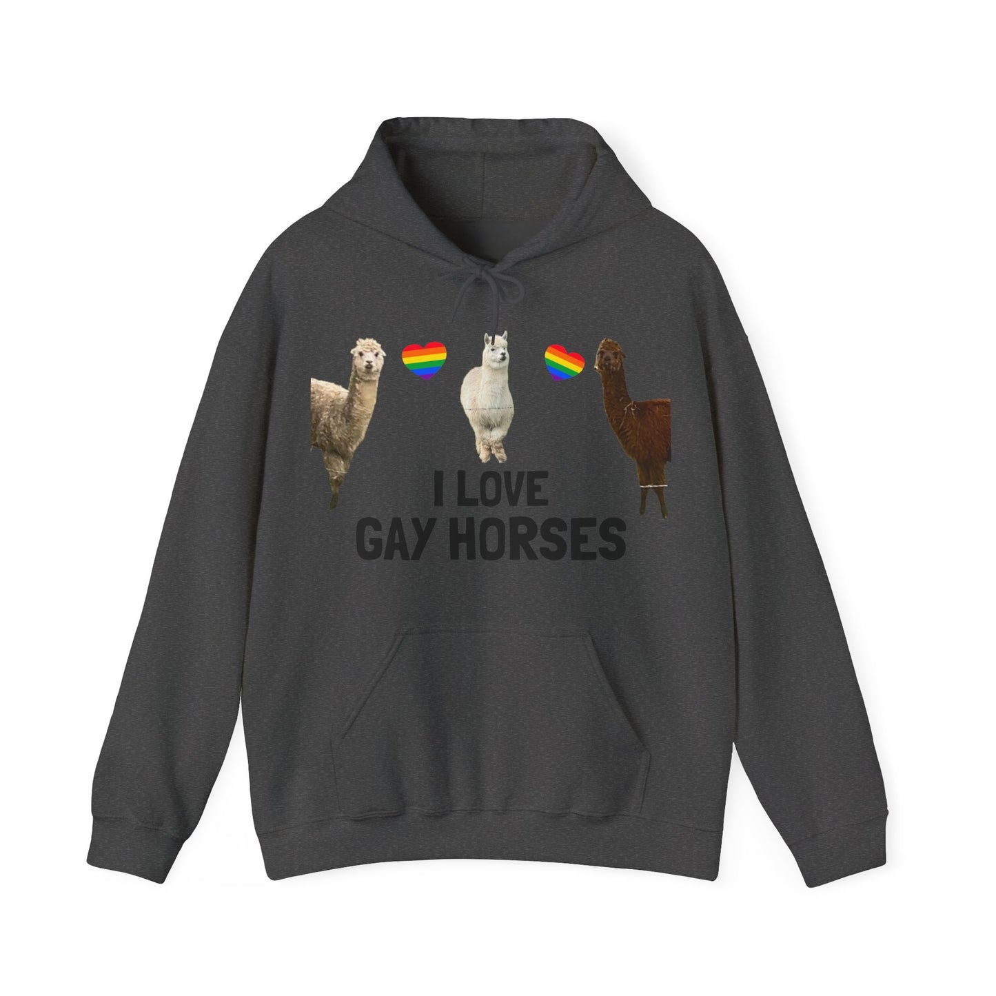I Love Gay Horses Hoodie