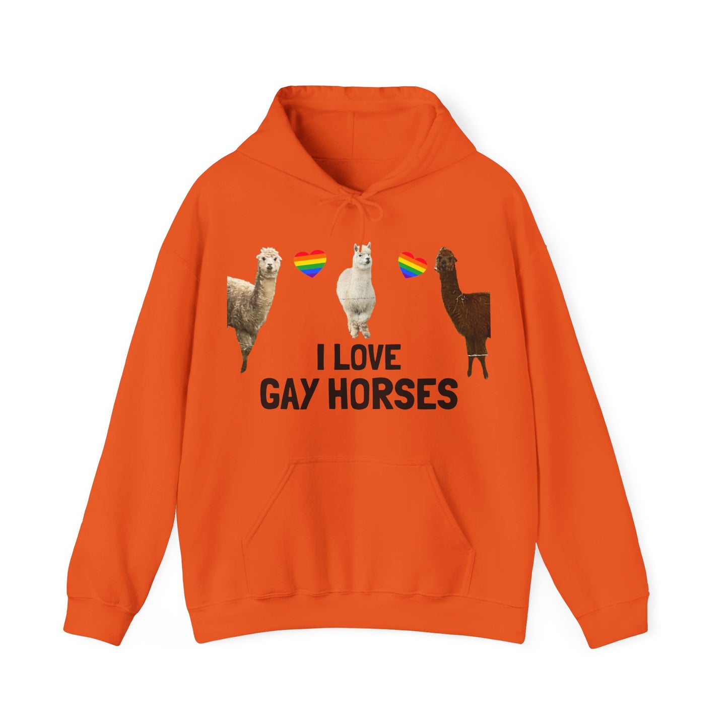 I Love Gay Horses Hoodie