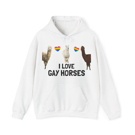 I Love Gay Horses Hoodie