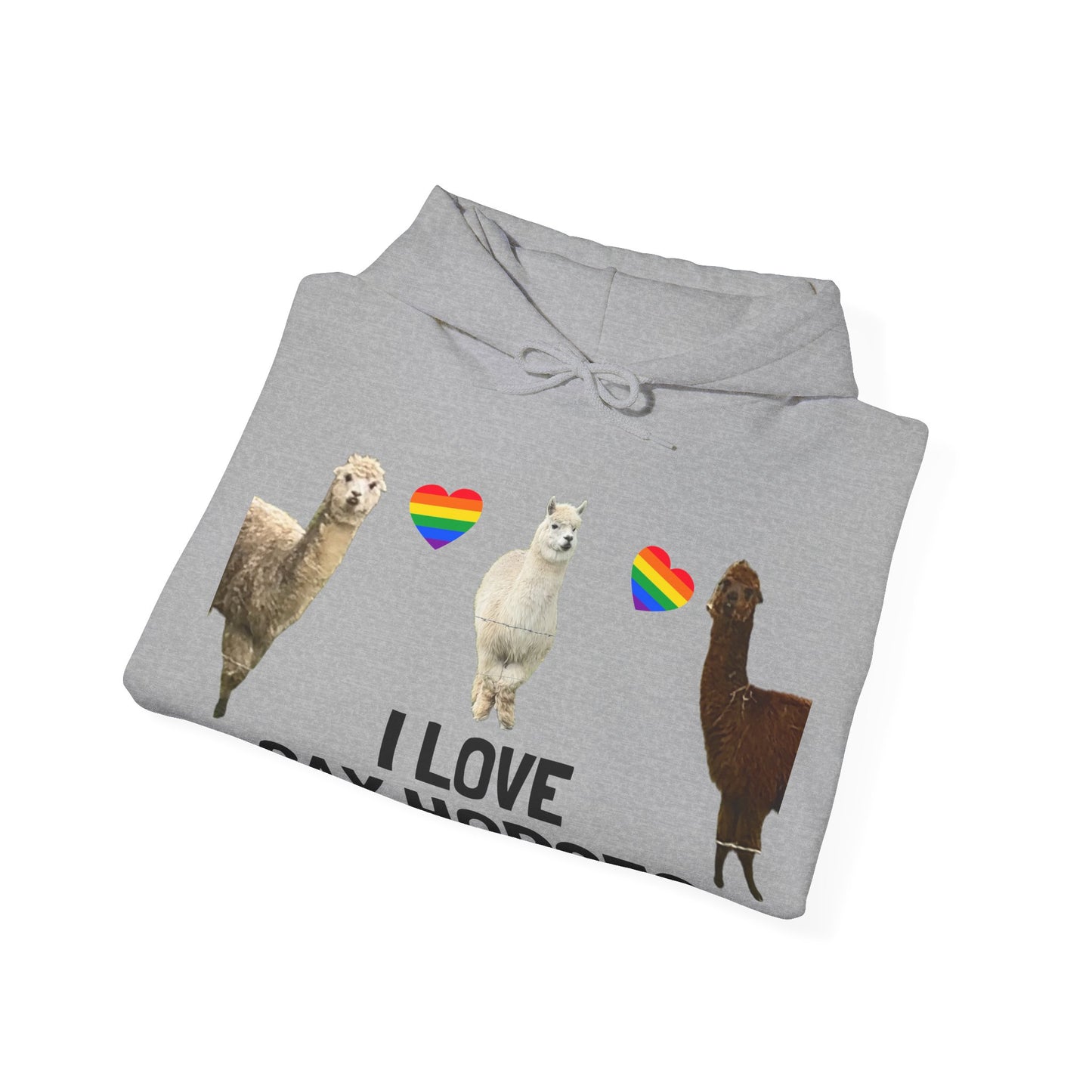 I Love Gay Horses Hoodie