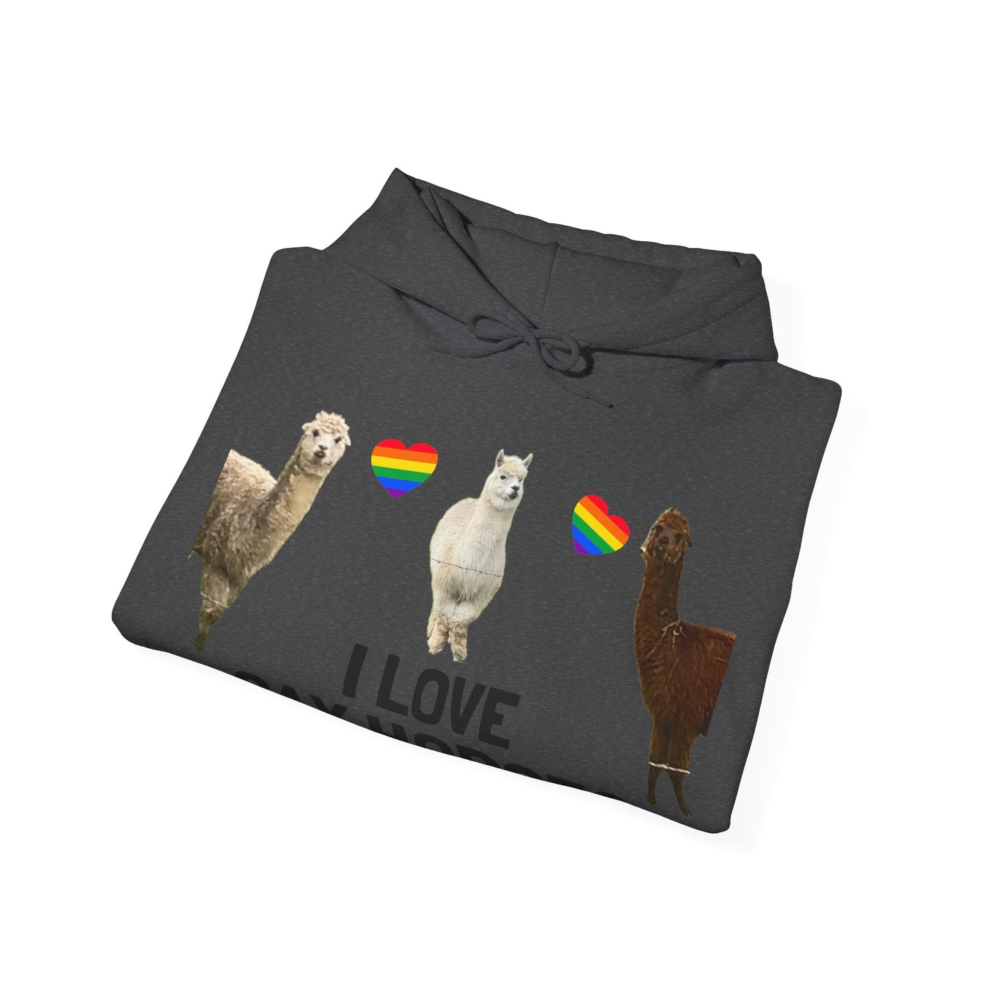 I Love Gay Horses Hoodie