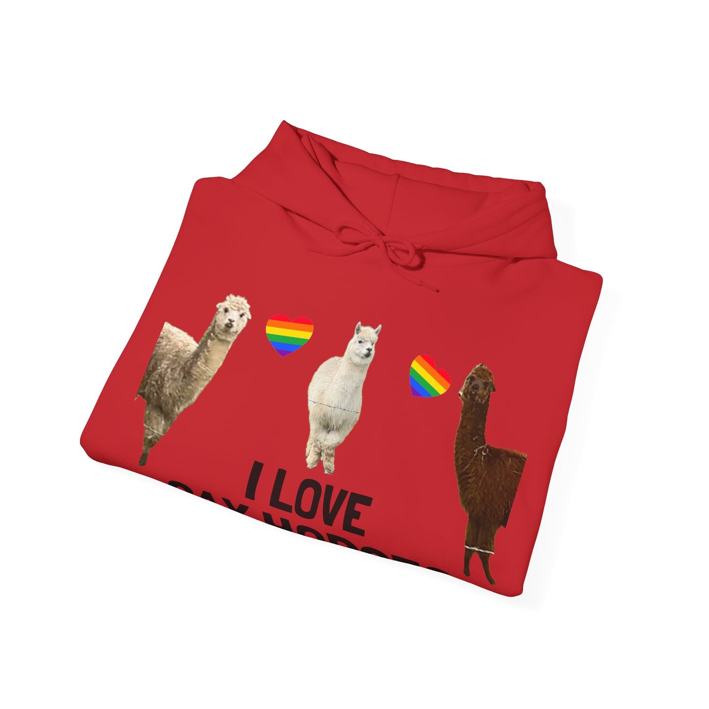 I Love Gay Horses Hoodie