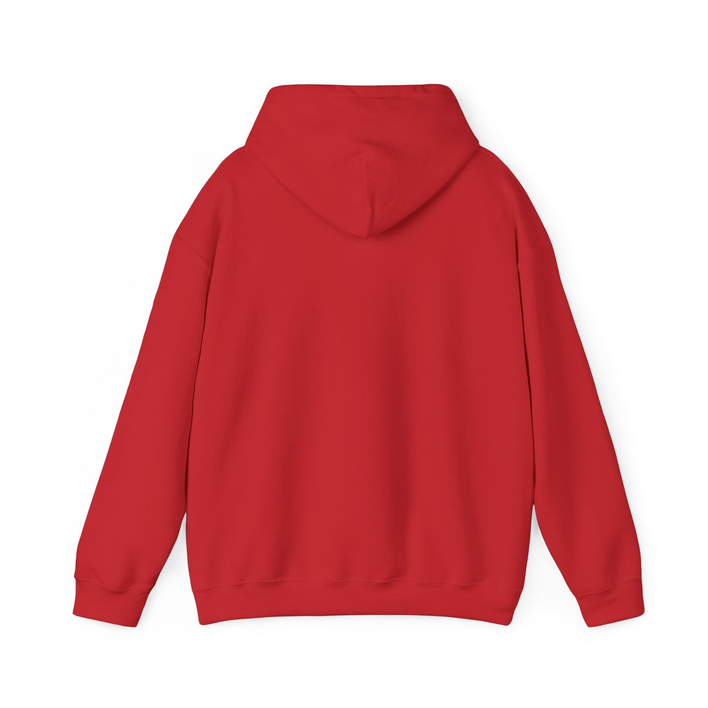 I Love Gay Horses Hoodie