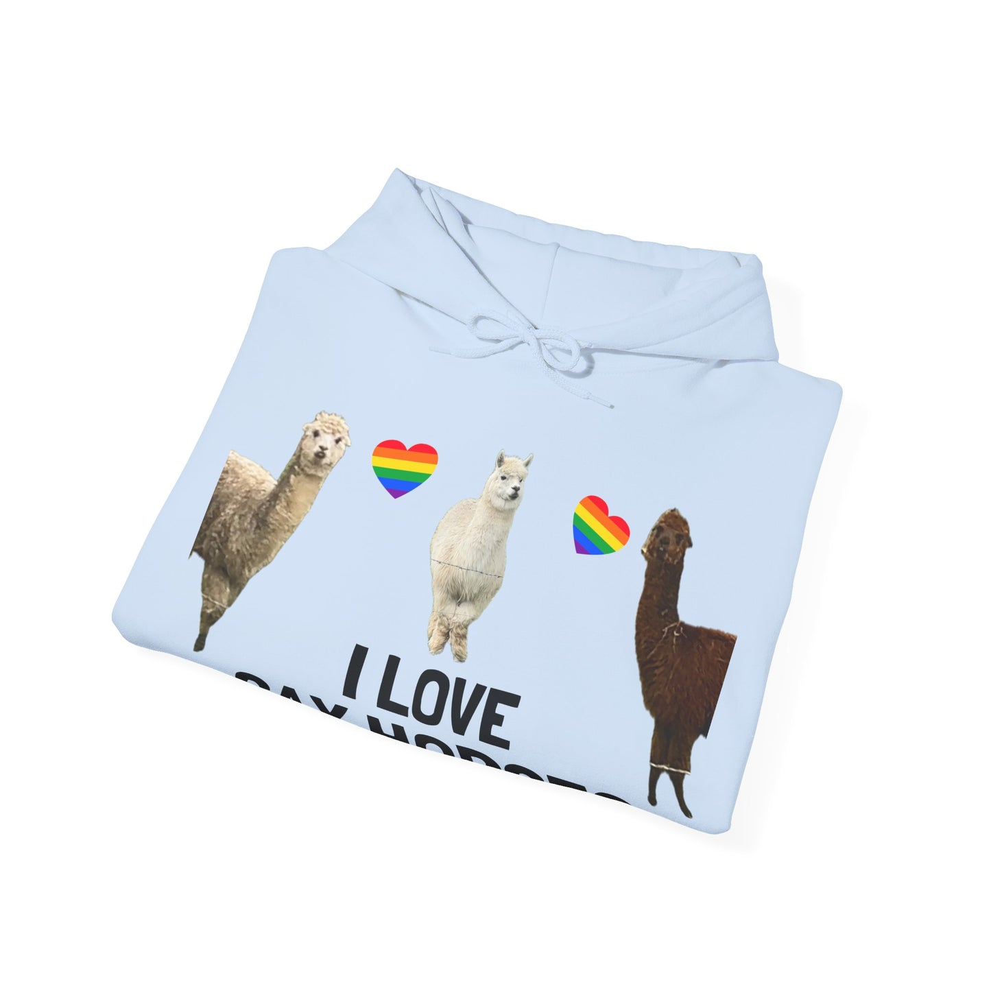 I Love Gay Horses Hoodie