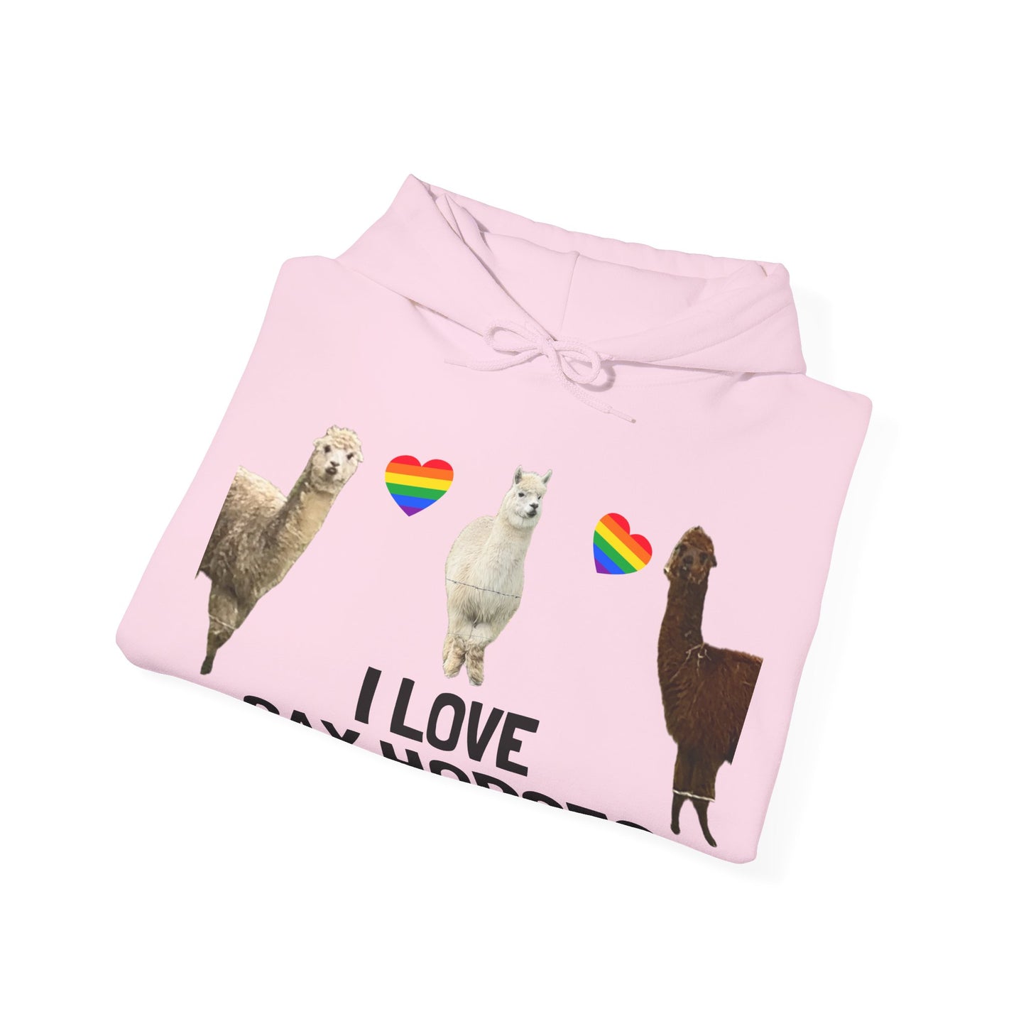 I Love Gay Horses Hoodie