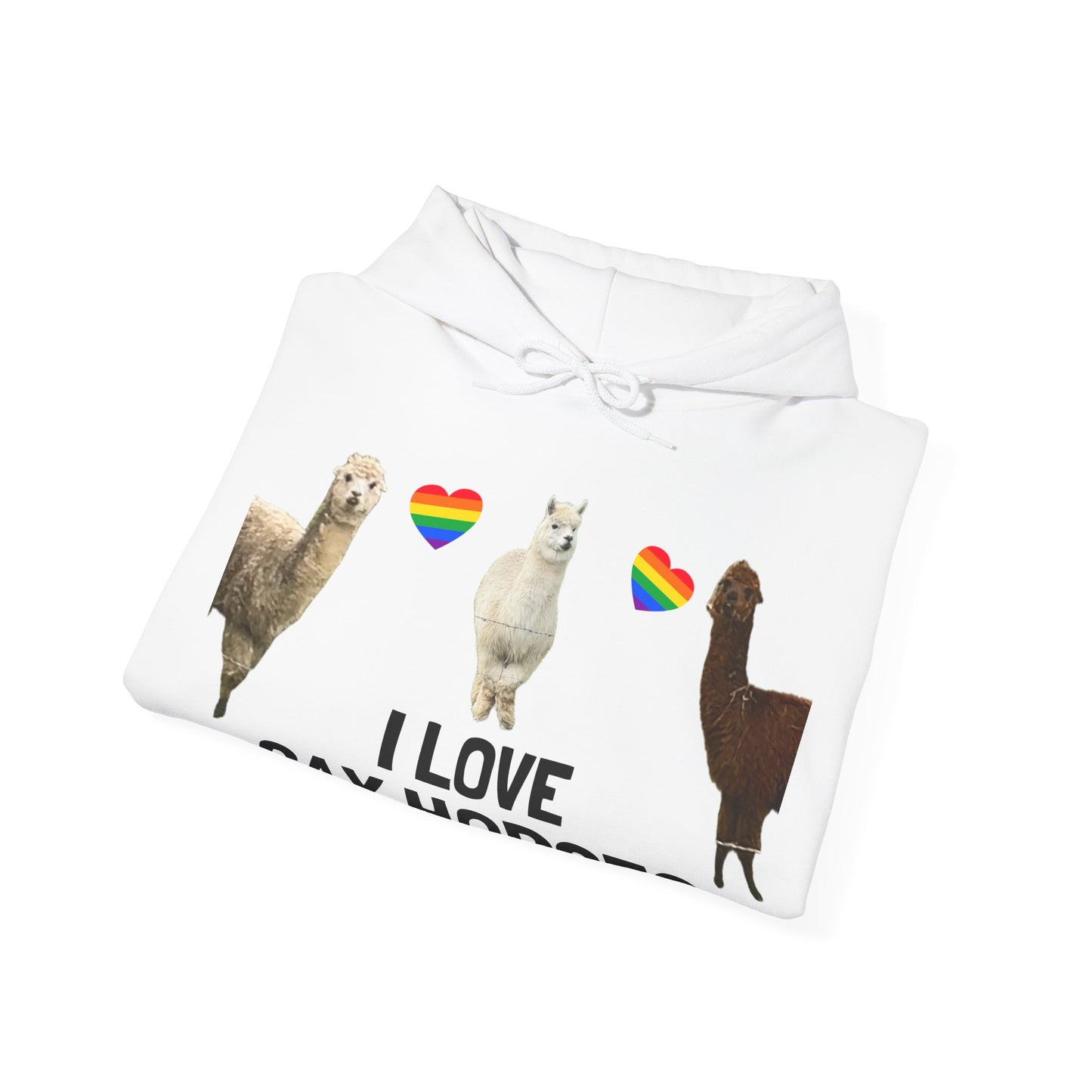 I Love Gay Horses Hoodie