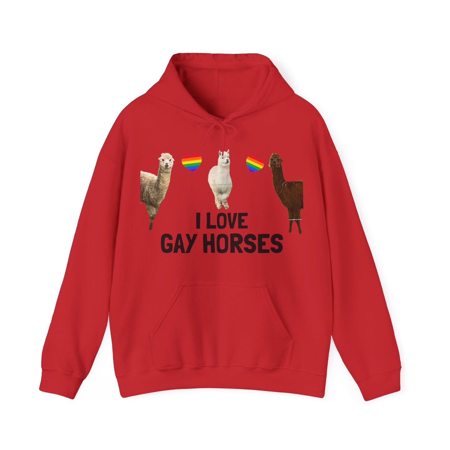 I Love Gay Horses Hoodie