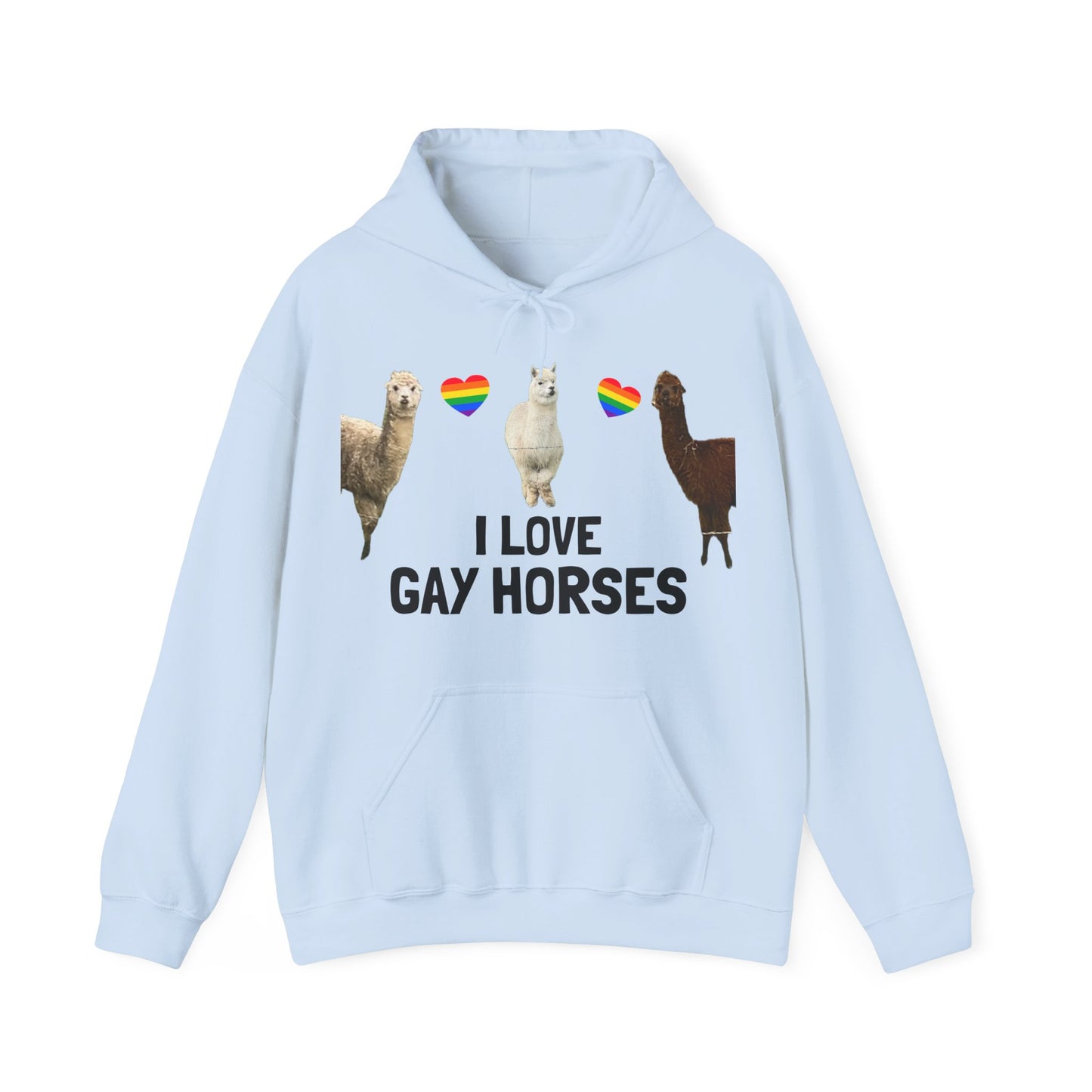 I Love Gay Horses Hoodie