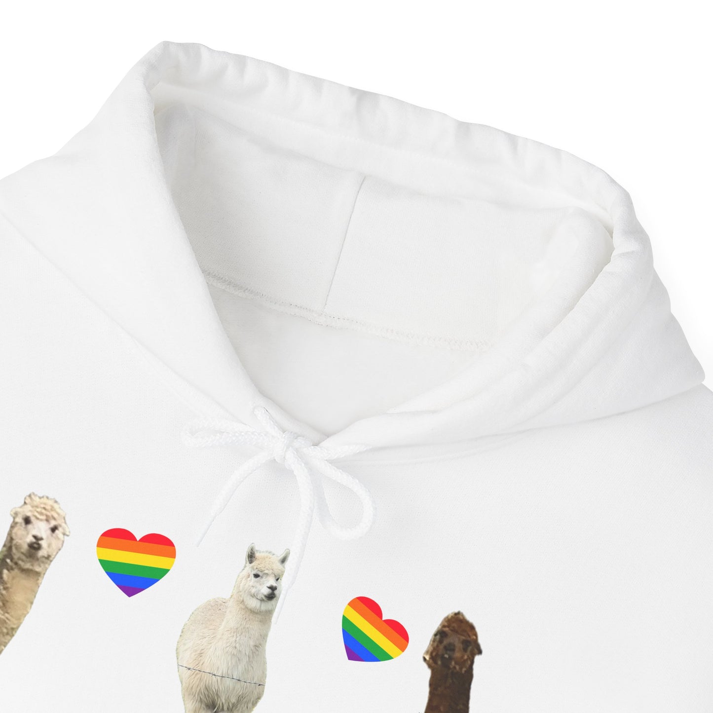 I Love Gay Horses Hoodie
