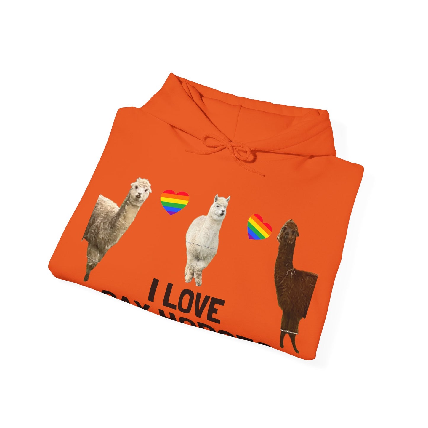 I Love Gay Horses Hoodie