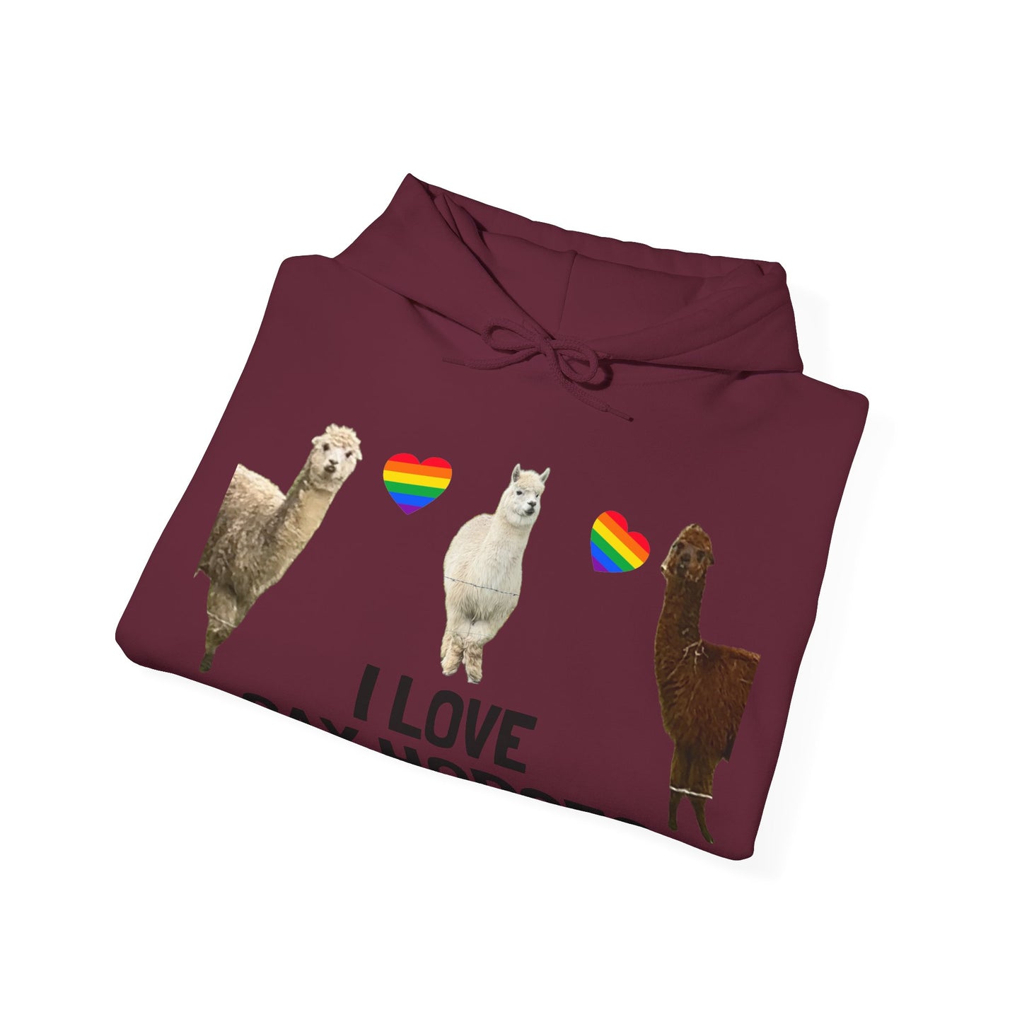 I Love Gay Horses Hoodie