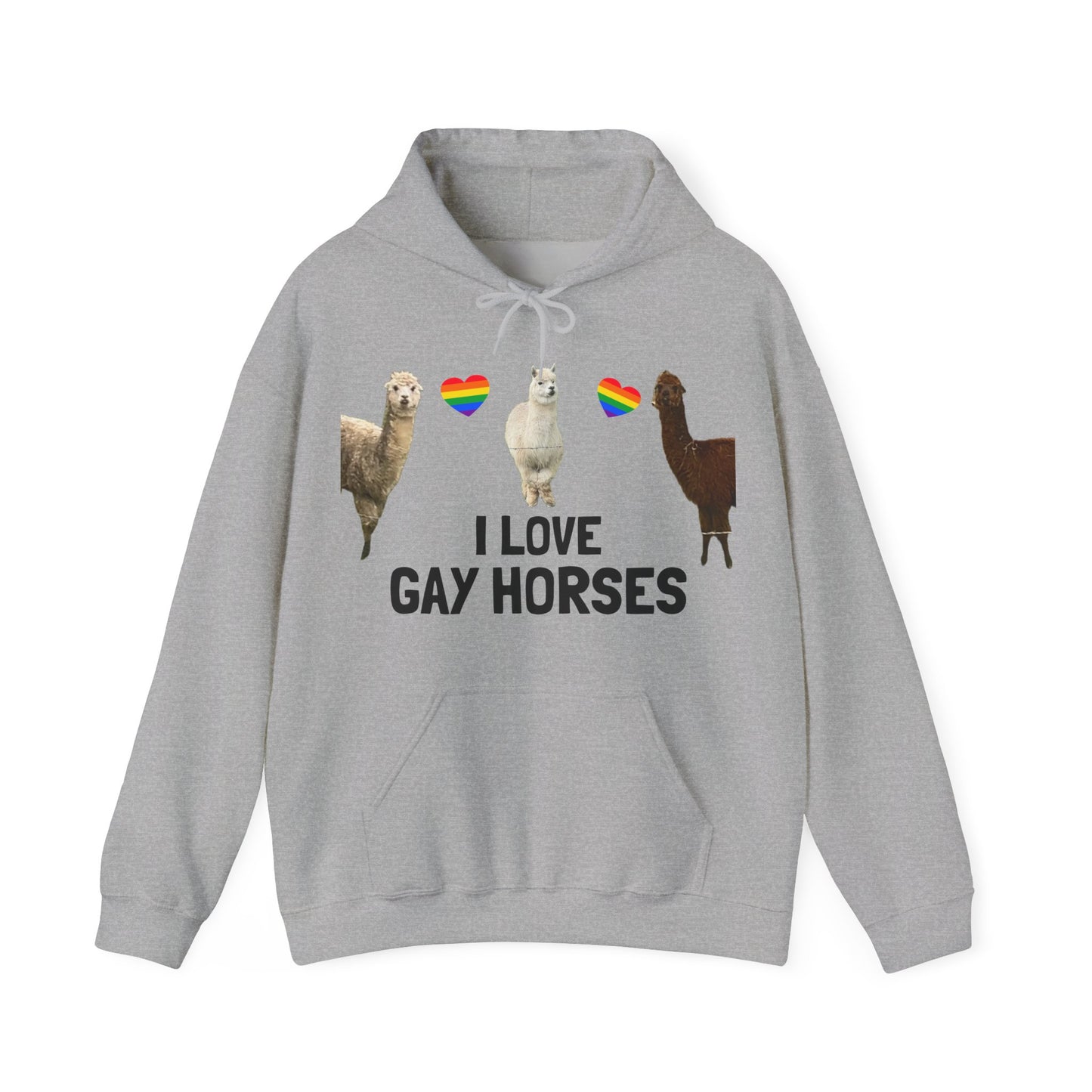 I Love Gay Horses Hoodie