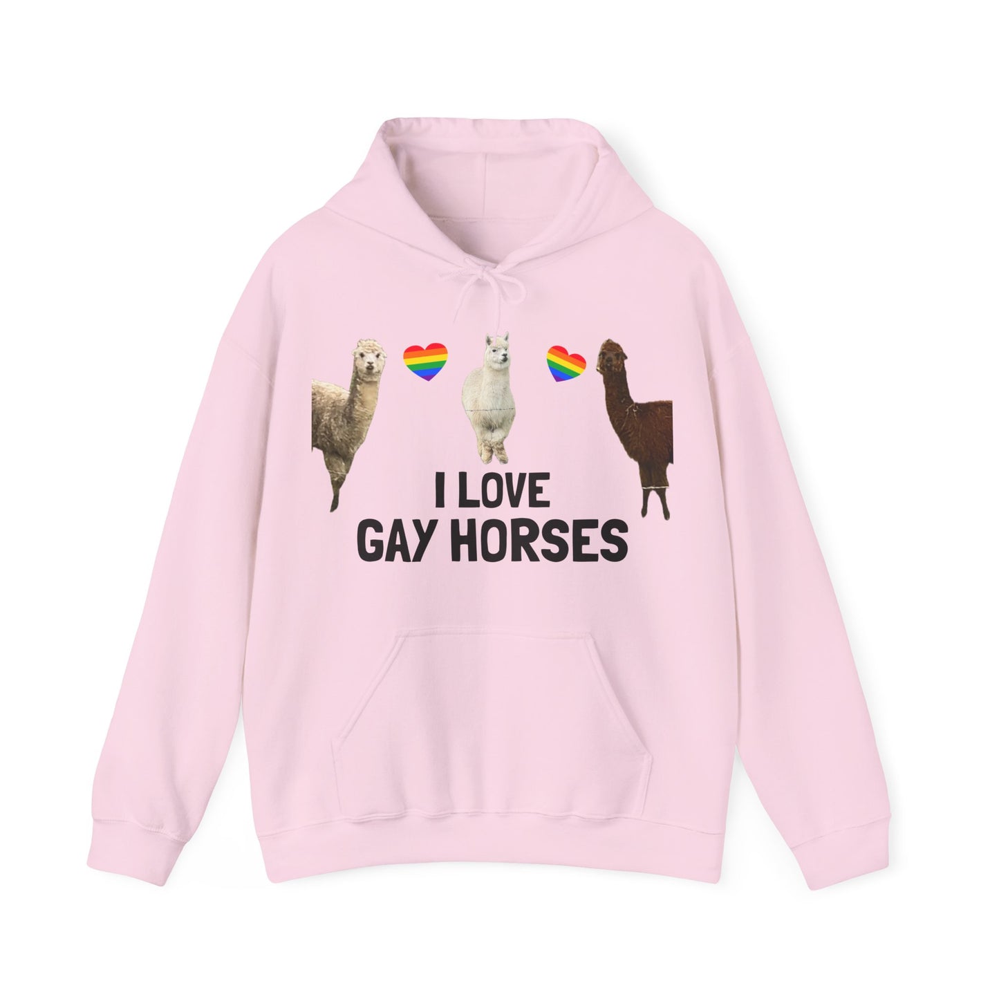 I Love Gay Horses Hoodie