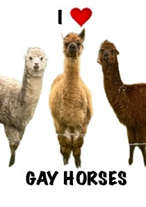 Gay Horse Fridge Magnet *NEW DESIGN*