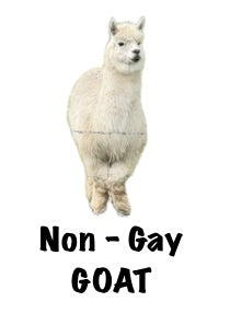Sebastian Non - Gay Goat Fridge magnet